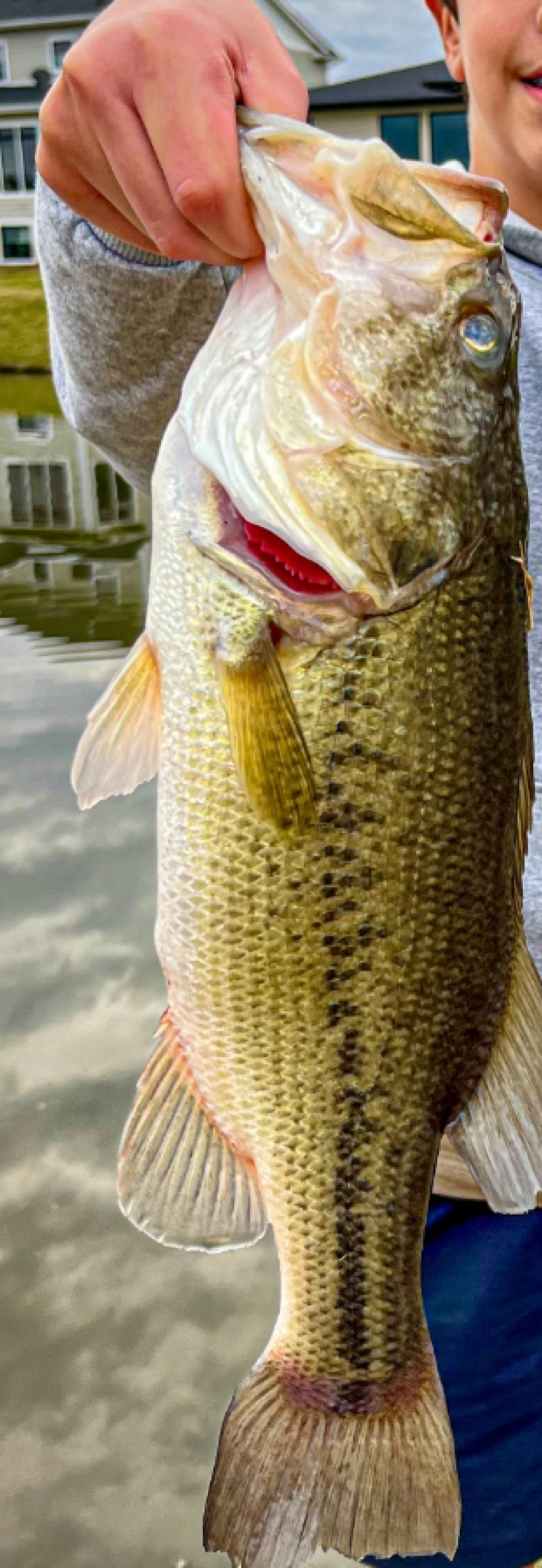 Customer Catch Story: Adriel Torres