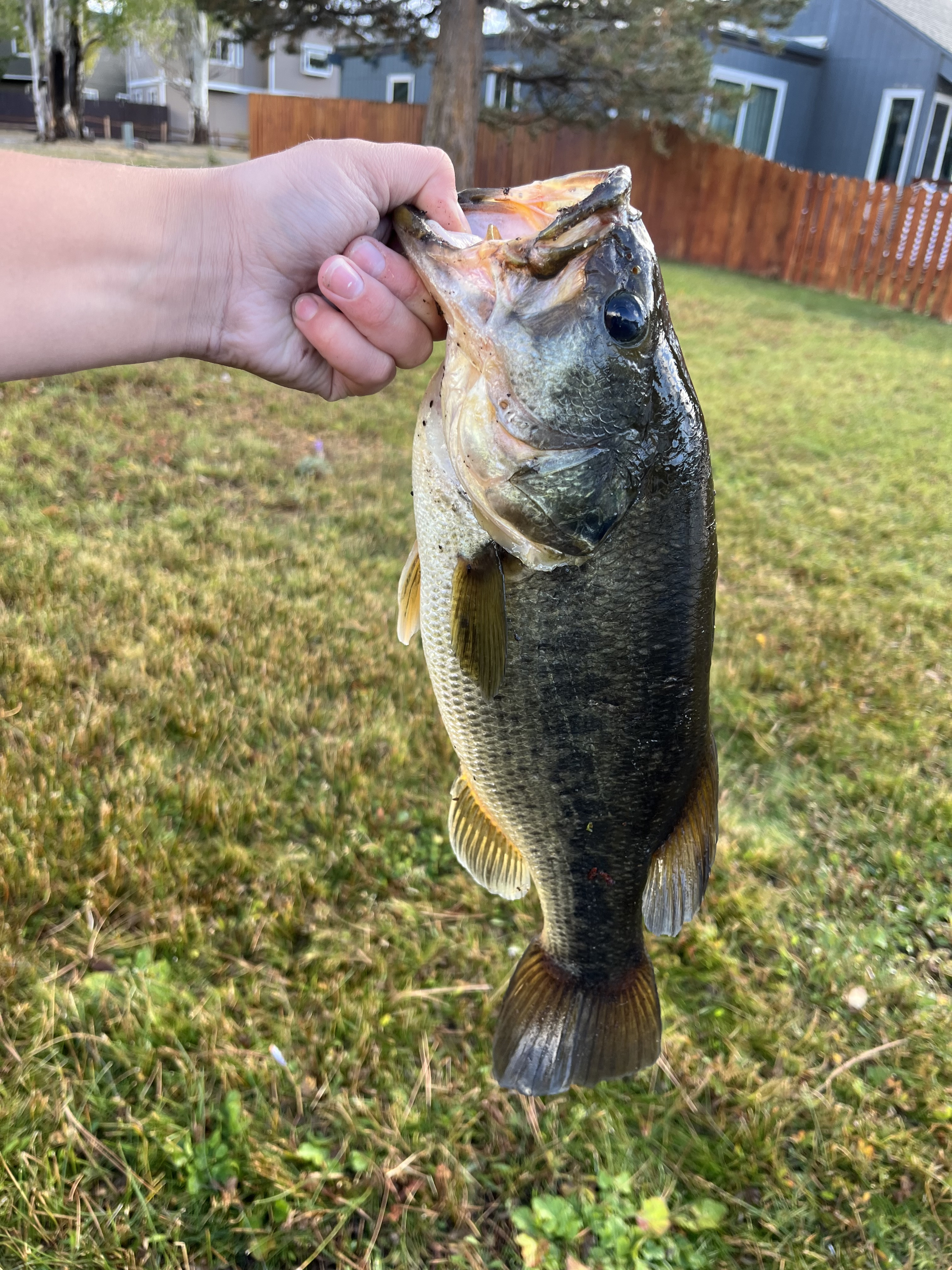 Customer Catch Story: Merrick Martin