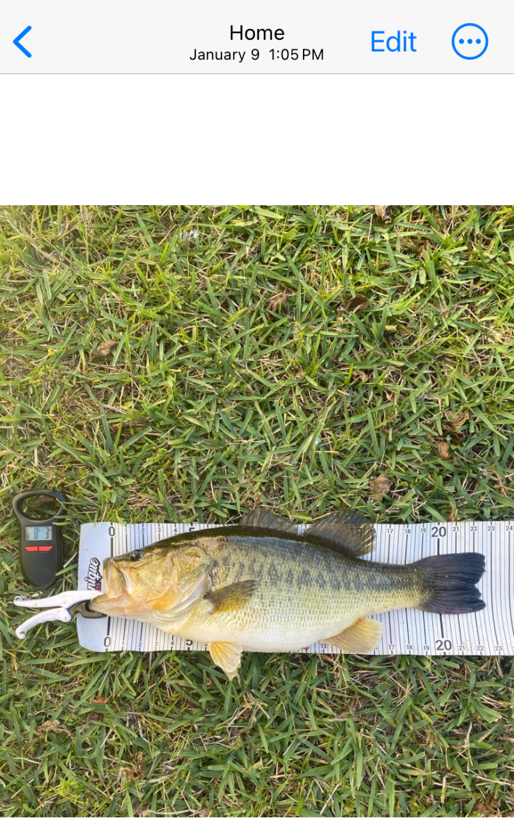 Customer Catch Story: Daniel Piedra