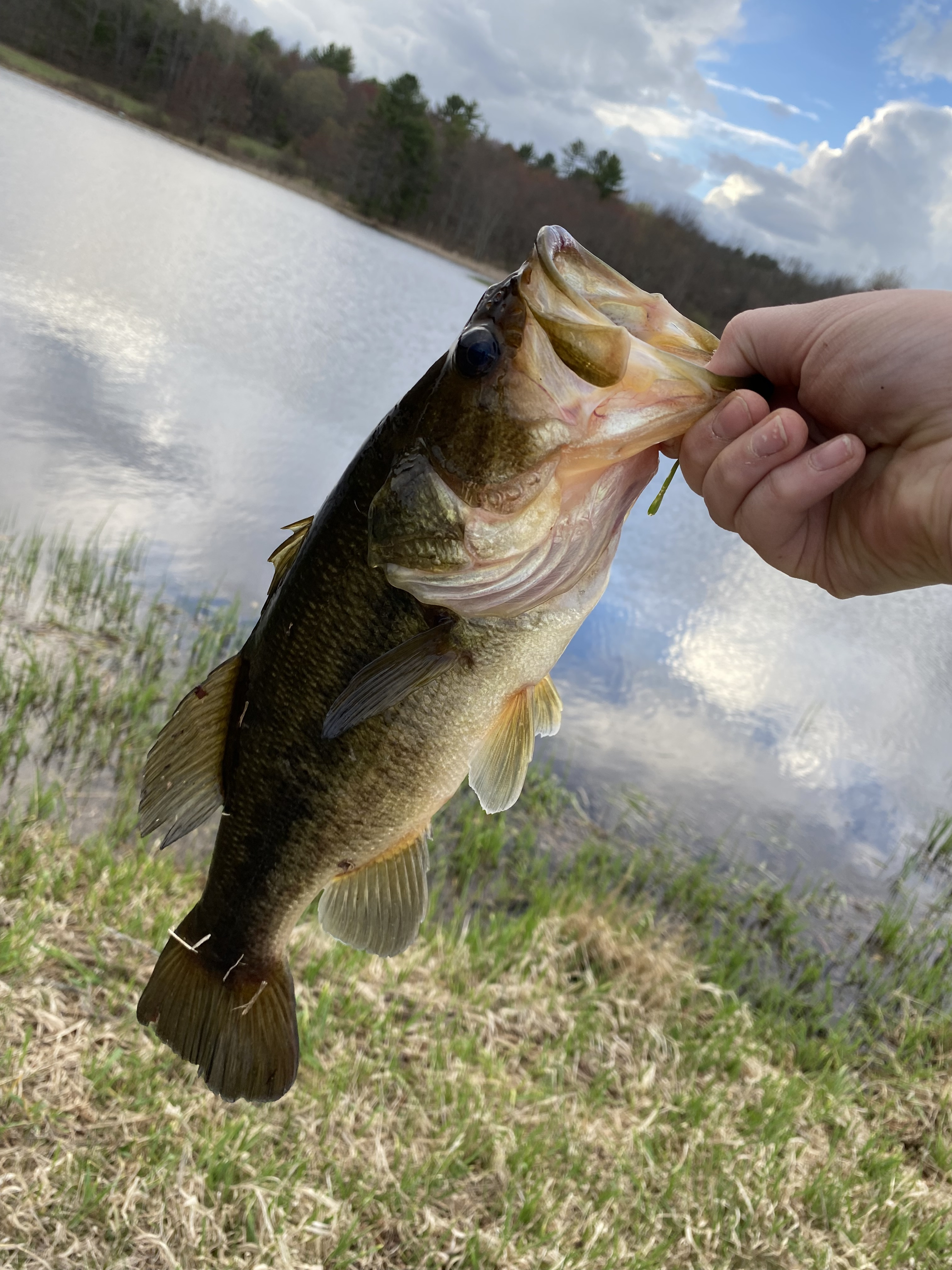 Customer Catch Story: paul casagranda