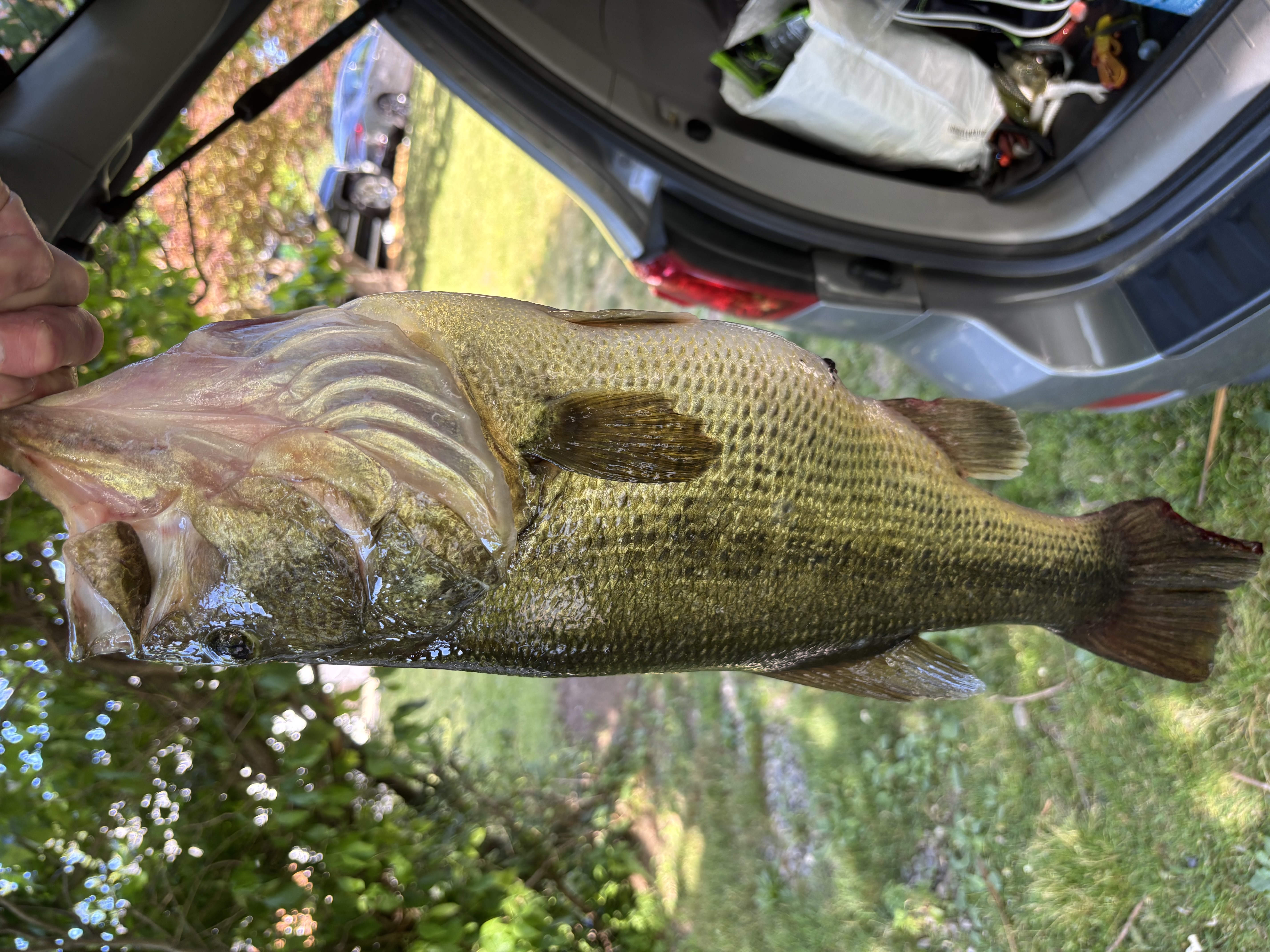 Customer Catch Story: John Rogers Jr
