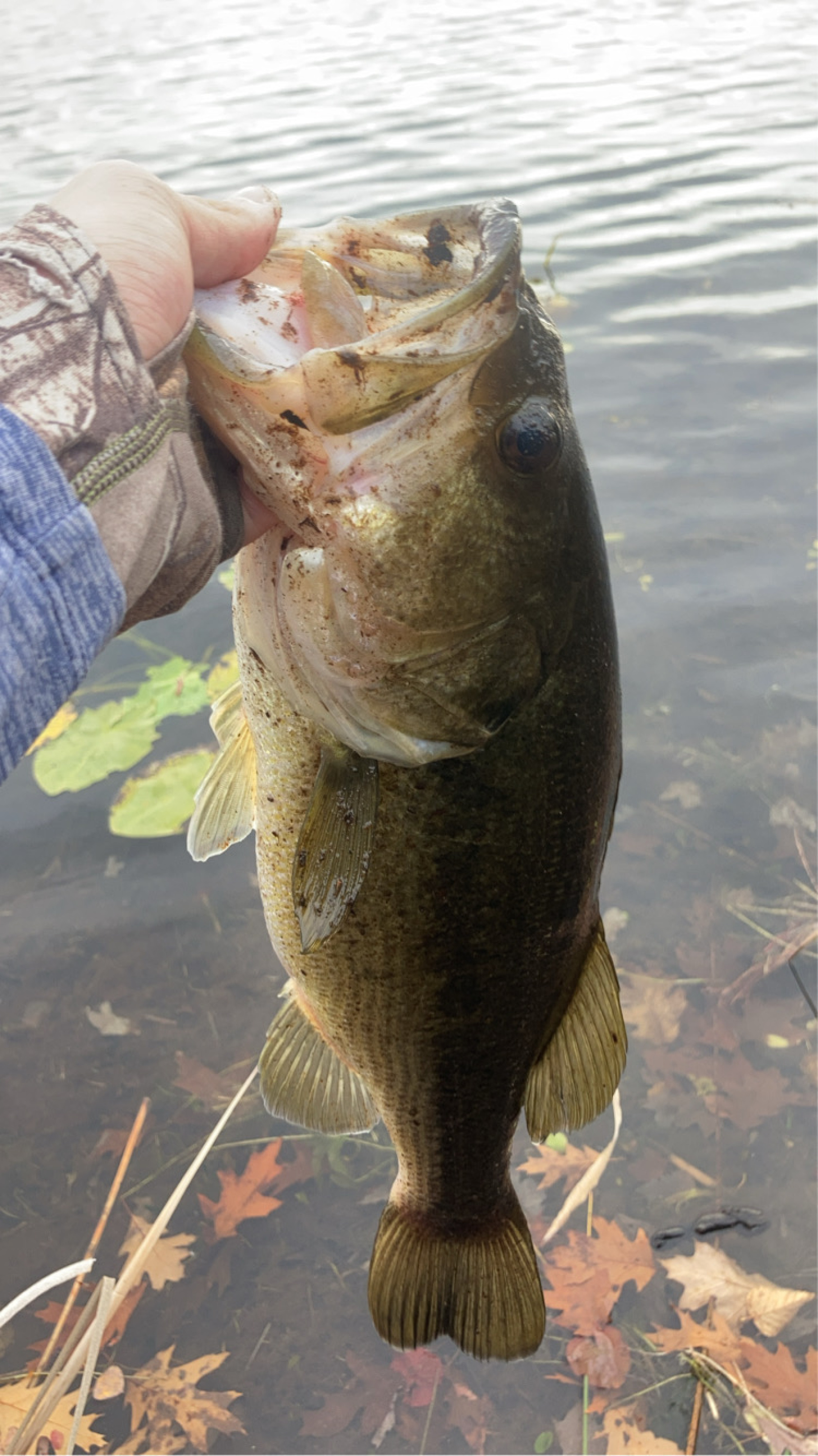 Customer Catch Story: Toby Bradford