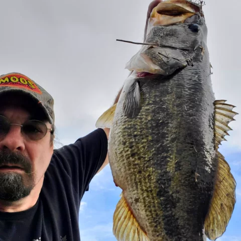 untitled-design-(29)